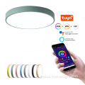 Smart Ceiling Light Speaker Macaron Smart Ceiling light Tuya Smart Supplier